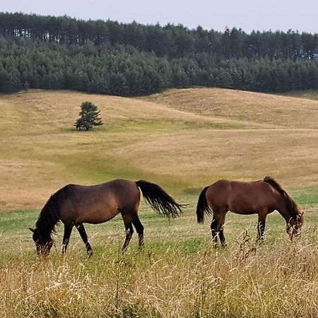 Apartman Nimfa Zlatibor Bagian luar foto
