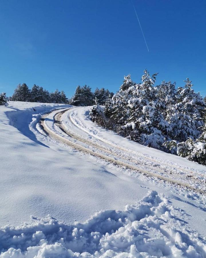Apartman Nimfa Zlatibor Bagian luar foto