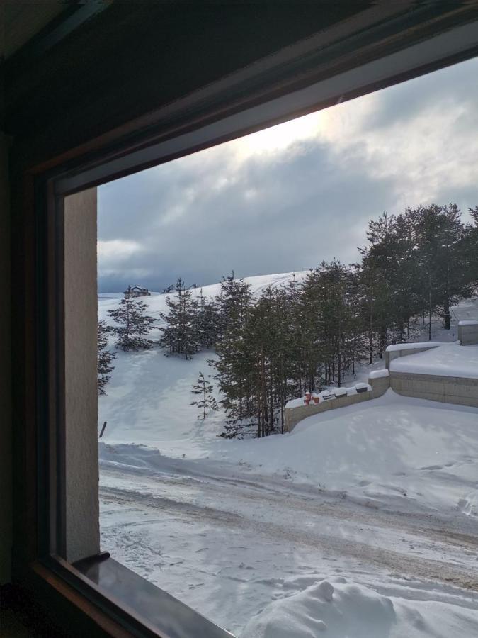 Apartman Nimfa Zlatibor Bagian luar foto